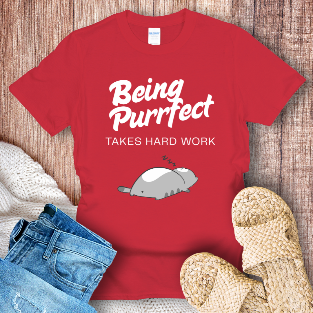 Beeing Purrfect Takes Hard Work Cat T-Shirt