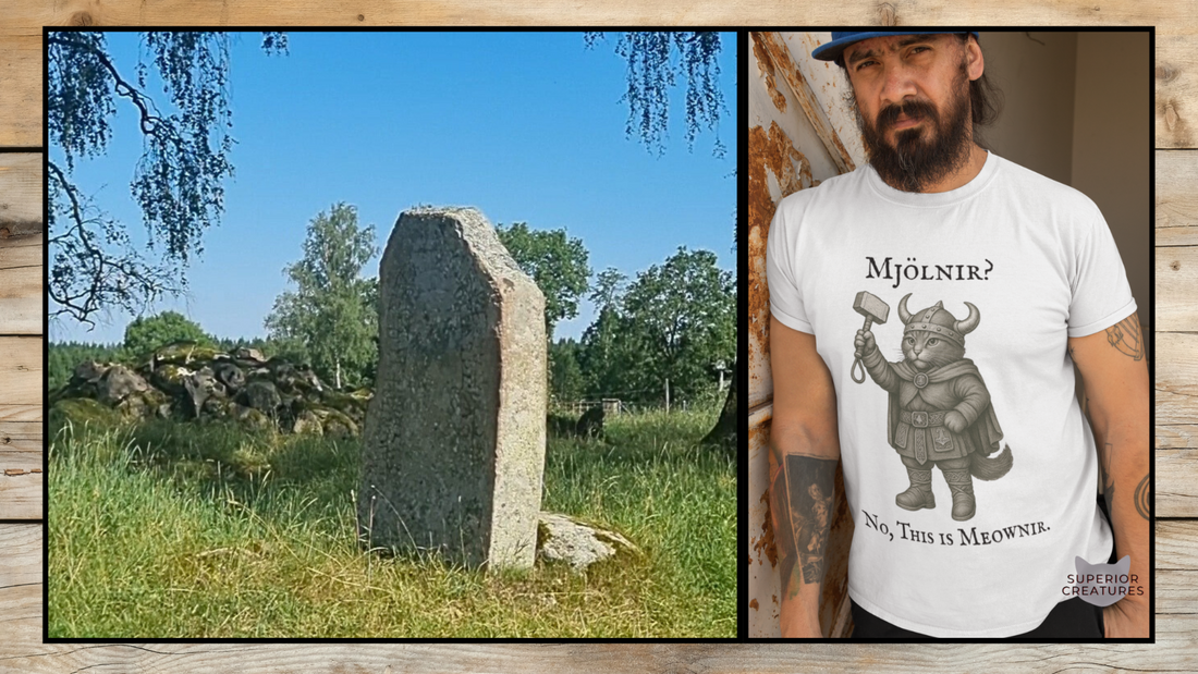 A Swedish runestone in a grassy field next to a man wearing a Viking-inspired cat T-shirt with the text “Mjölnir? No, this is Meownir”—showing the connection between historical Norse heritage and modern design inspiration.