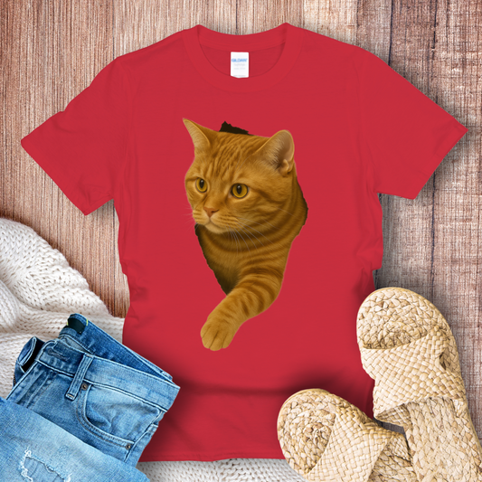 Tabby Orange Cat in Hole T-shirt